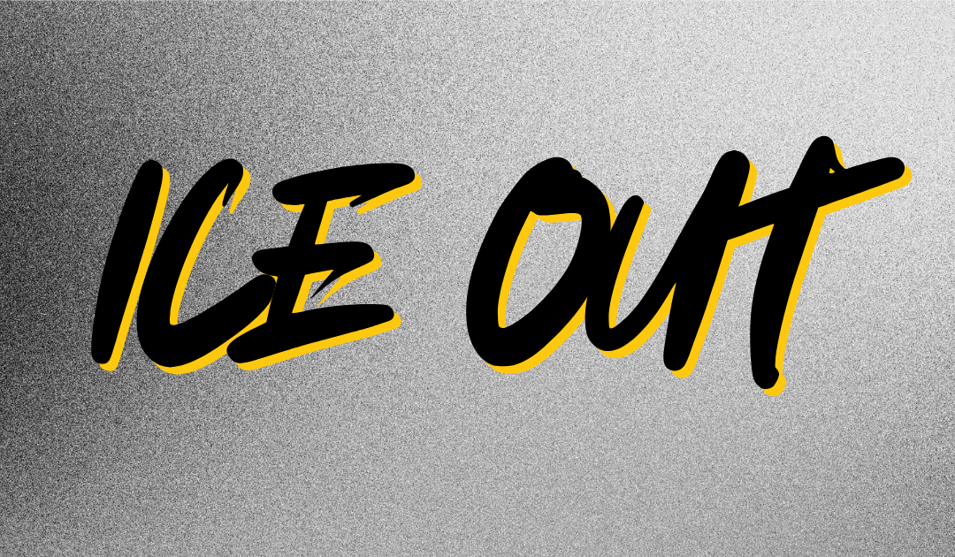 ICE Out: Strike Solidarity Statement